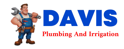 Trusted plumber in CHALLIS